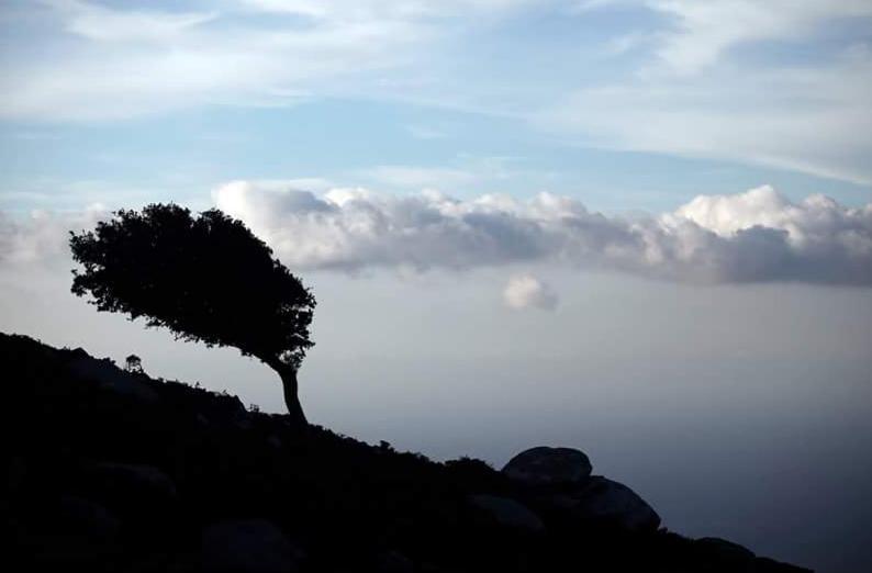 Ikaria Studios Manganítis Exteriér fotografie