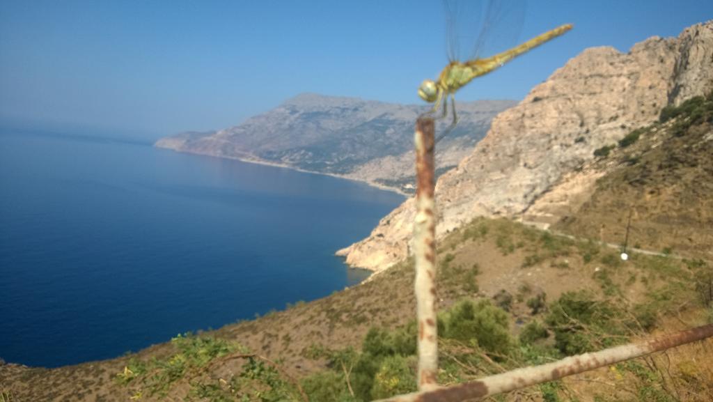Ikaria Studios Manganítis Exteriér fotografie